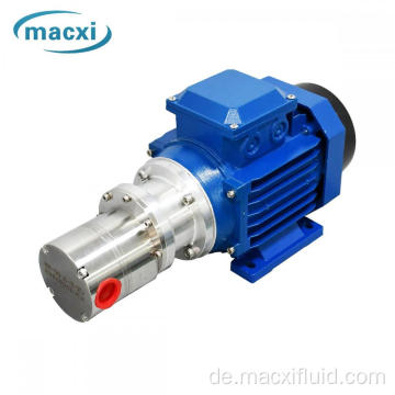 AC Asynchronous Motor Mini Getriebedosierpumpe